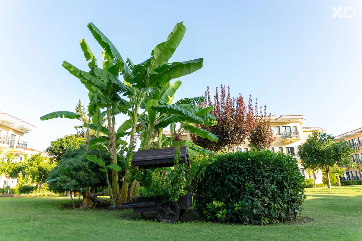 Club Hotel Phaselis Rose
