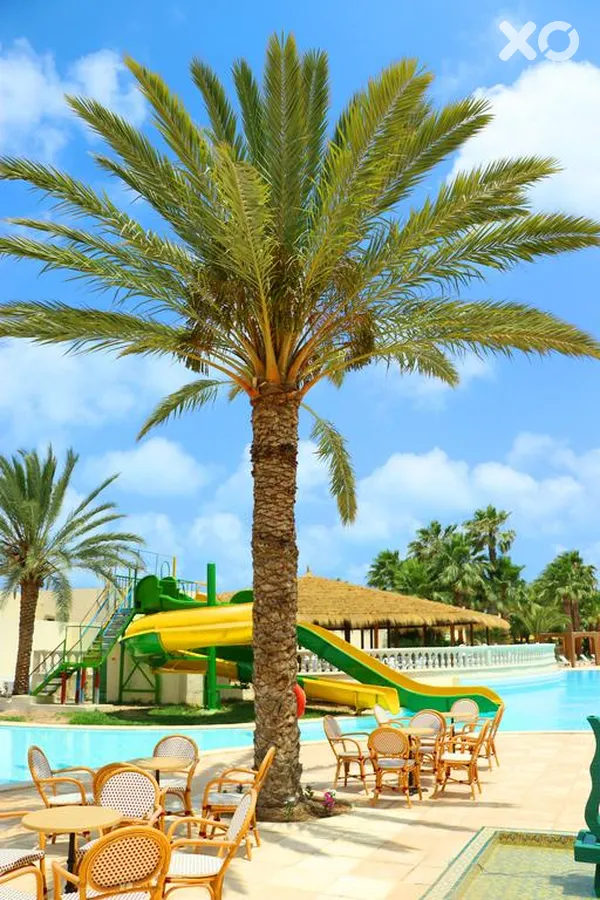 Ksar Djerba