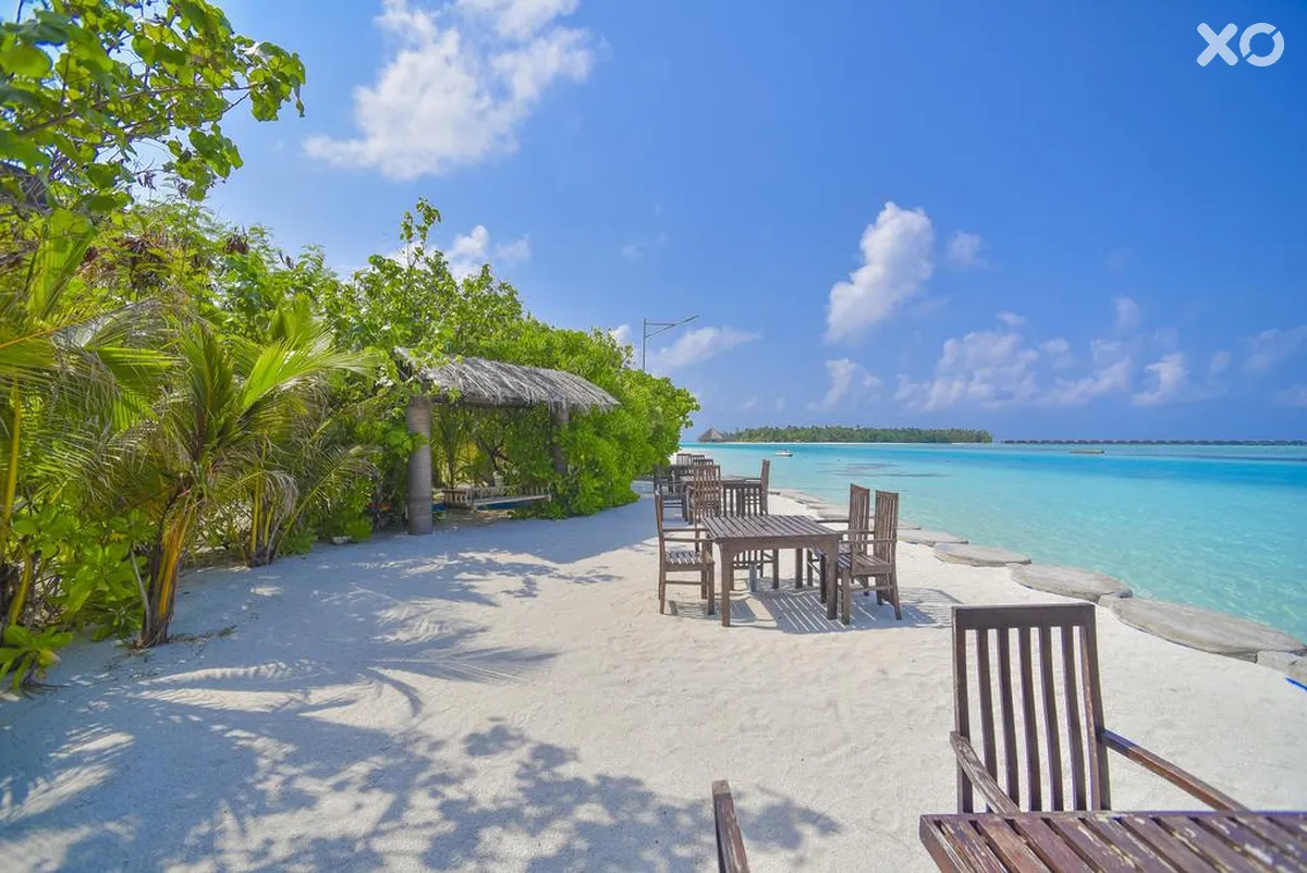 Rashu Hiyaa