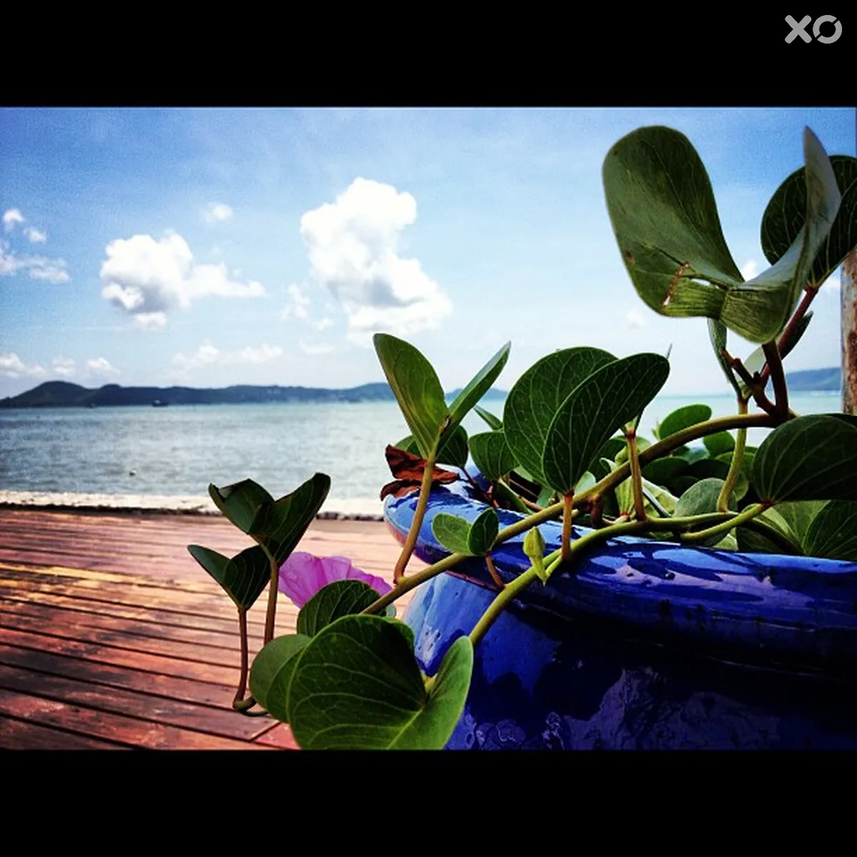 Selina Serenity Rawai Phuket