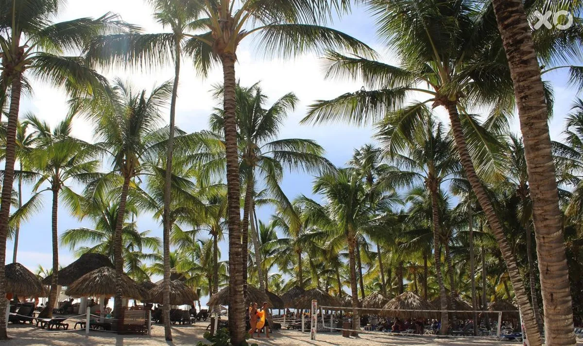 Catalonia Gran Dominicus