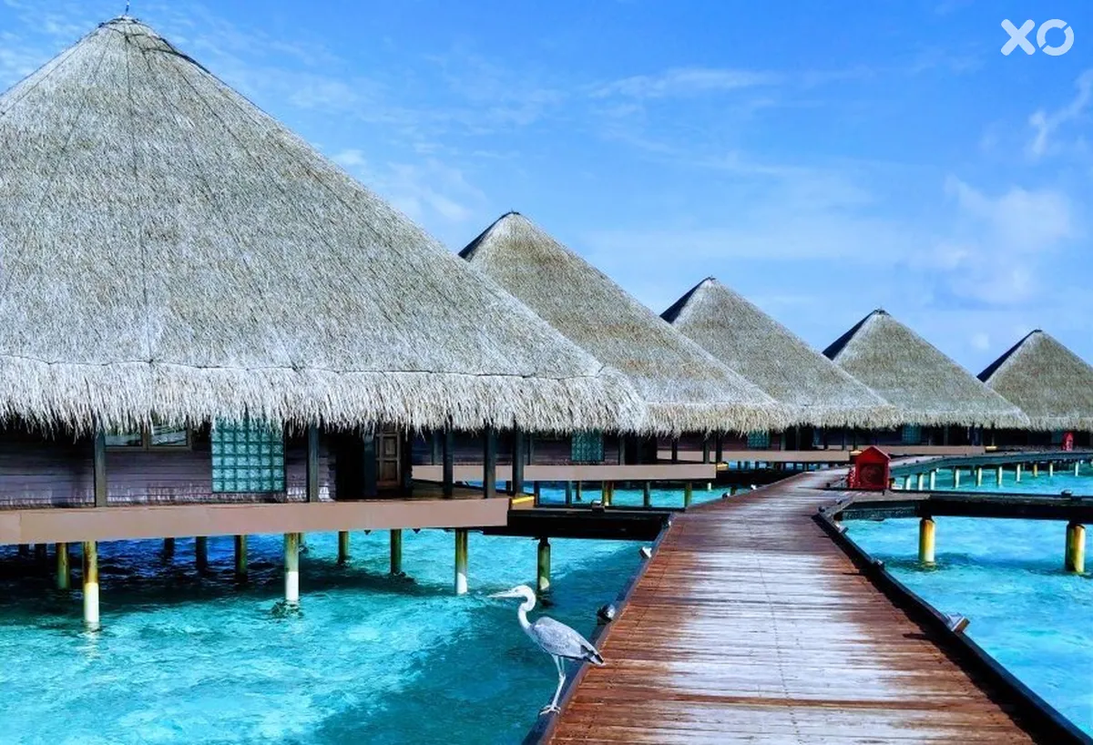 Adaaran Club Rannalhi