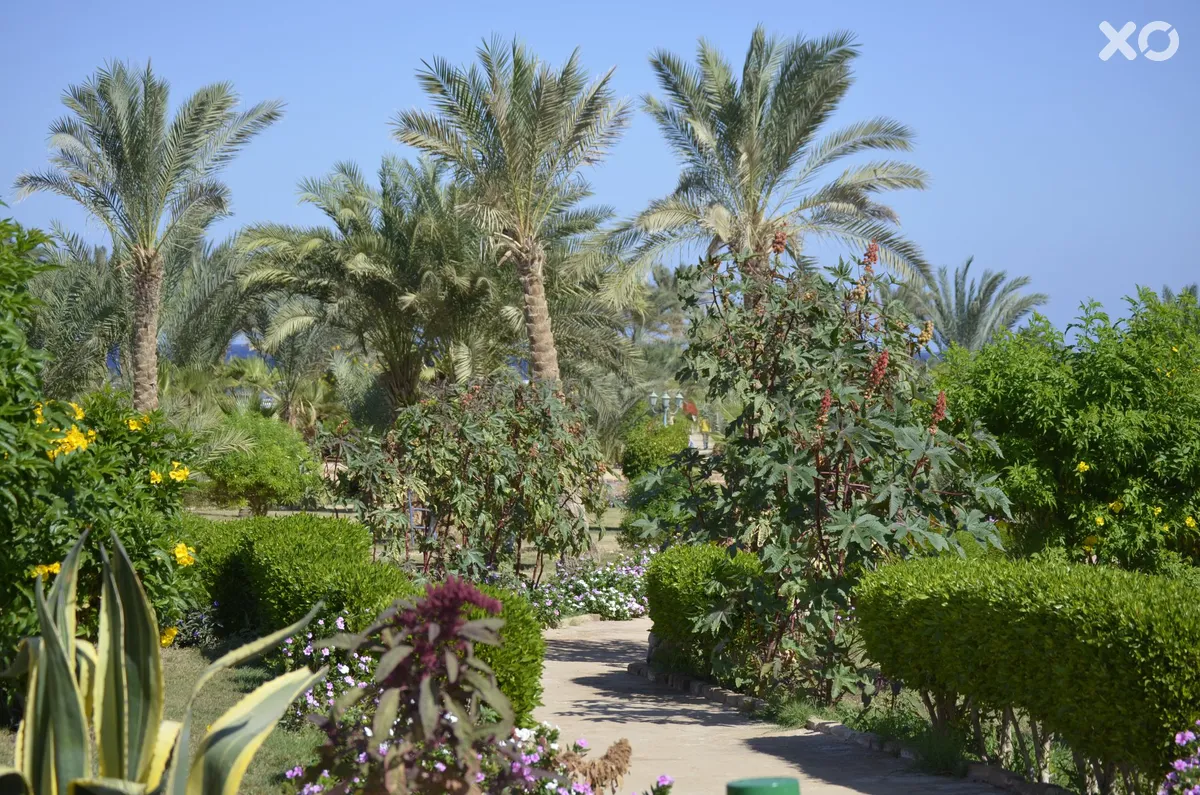 Pensee Beach Resort Marsa Alam operated by The Three Corners Hotels & Resorts