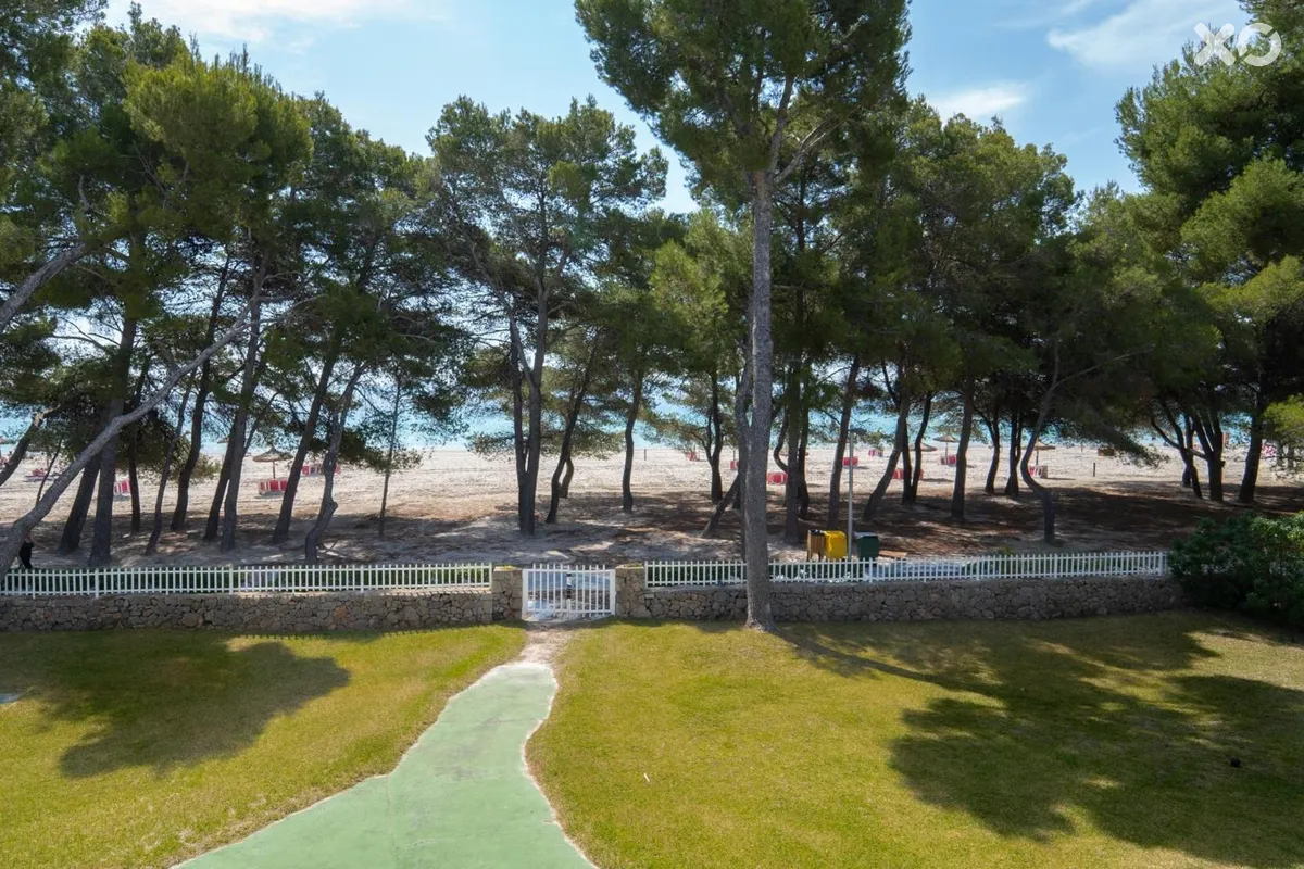 Ferrer Lime Playa de Alcudia
