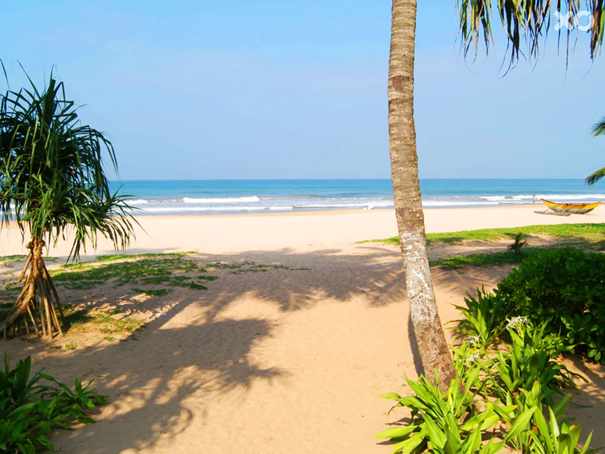 Avani Bentota Resort