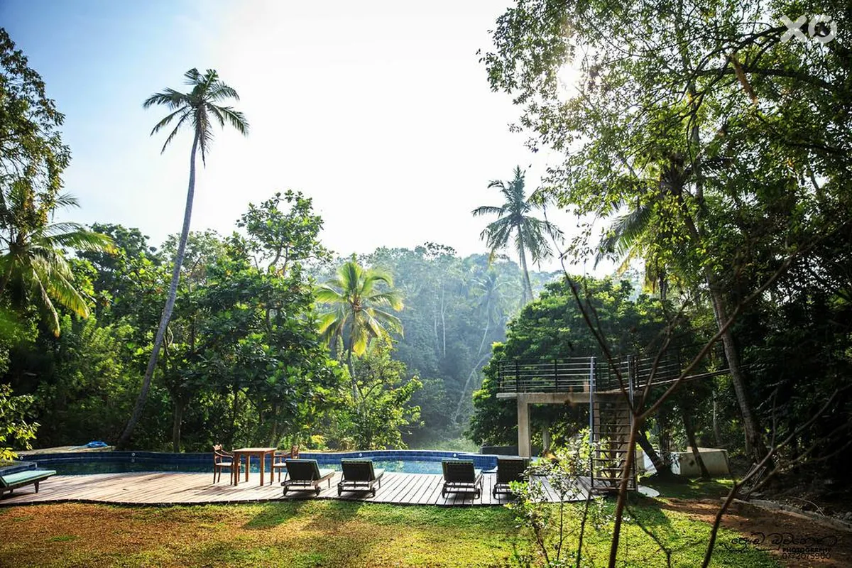 Jungle Village by Thawthisa