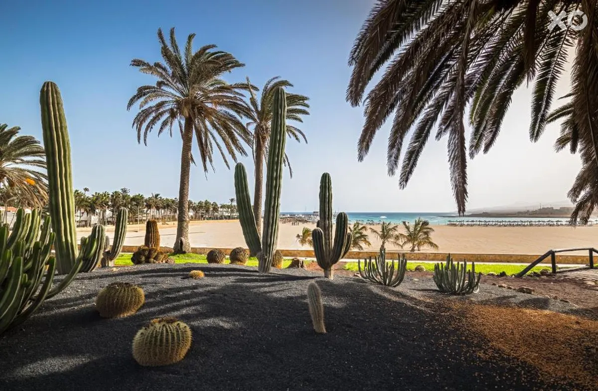 Barcelo Fuerteventura Royal Level Adults Only