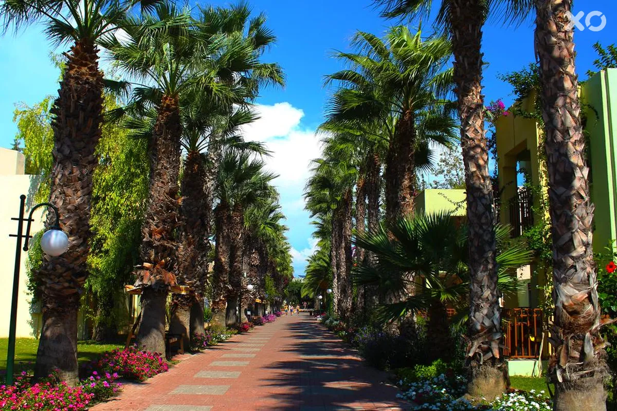 Vonresort Golden Beach