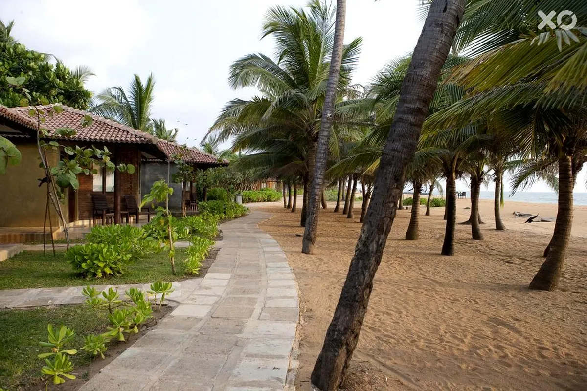 Club Hotel Dolphin