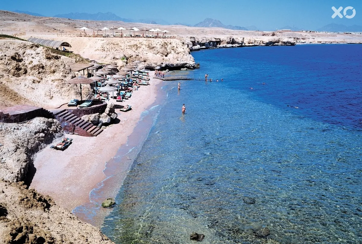 Club Reef