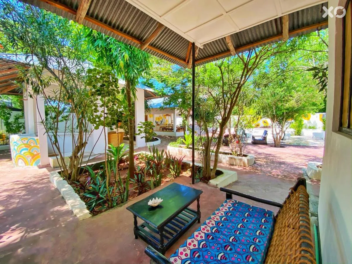 Papaya Guest House
