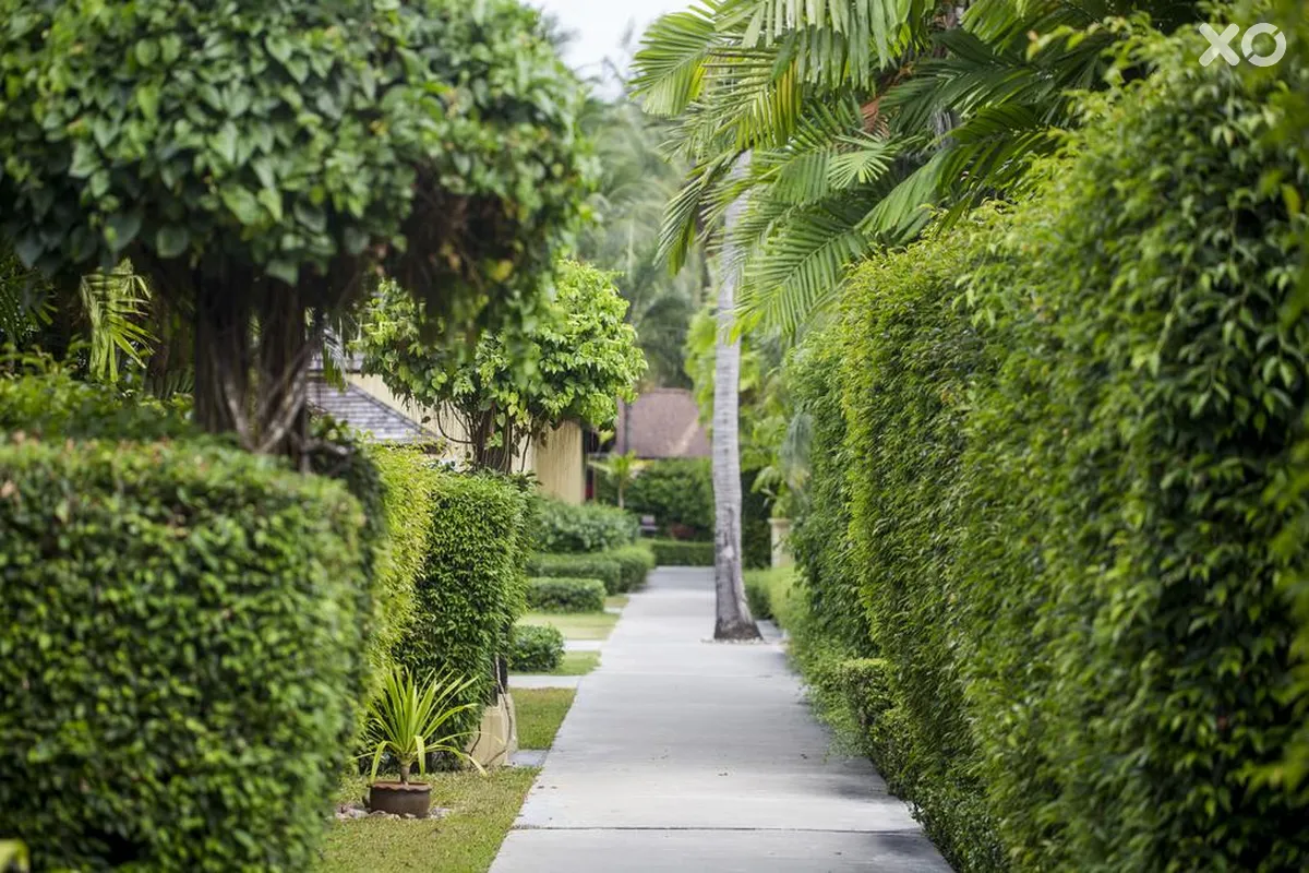 The Passage Samui Villas & Resort