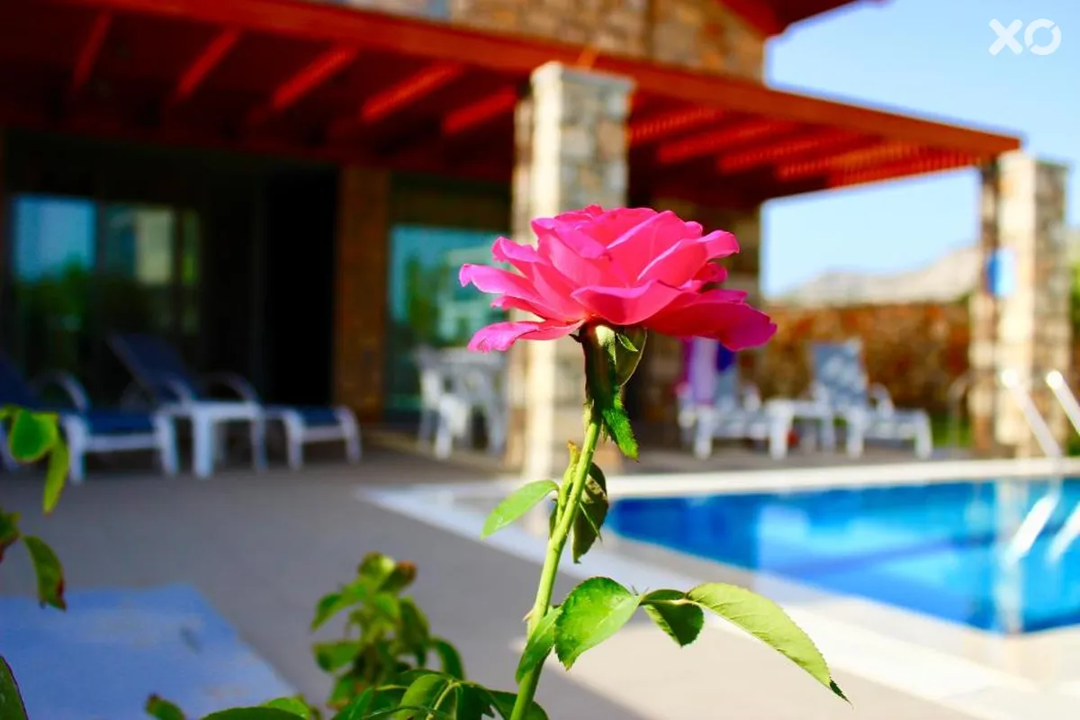 Estrella Villas