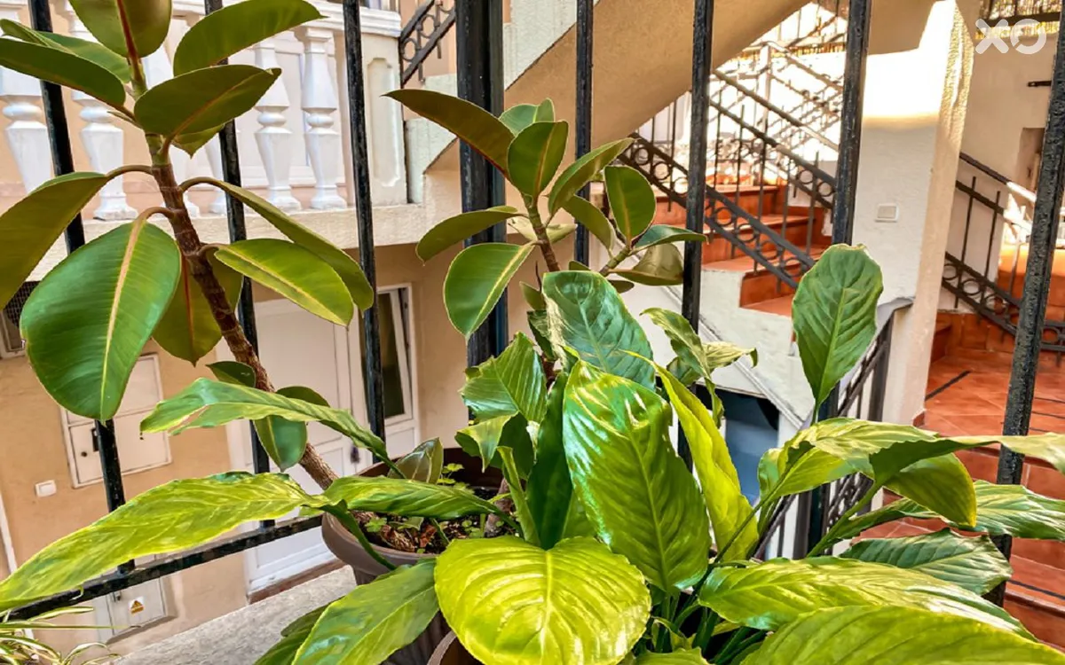 Micic Apartament
