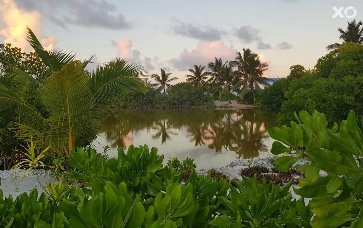 South Palm Resort Maldives