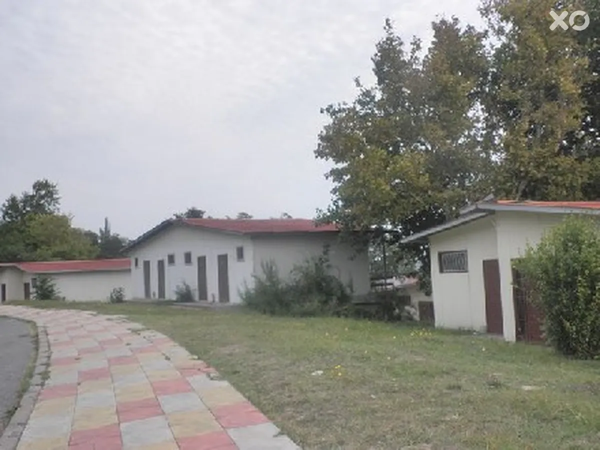 Магнолія Вілла