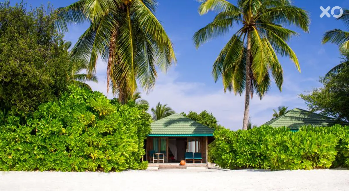 Canareef Resort Maldives
