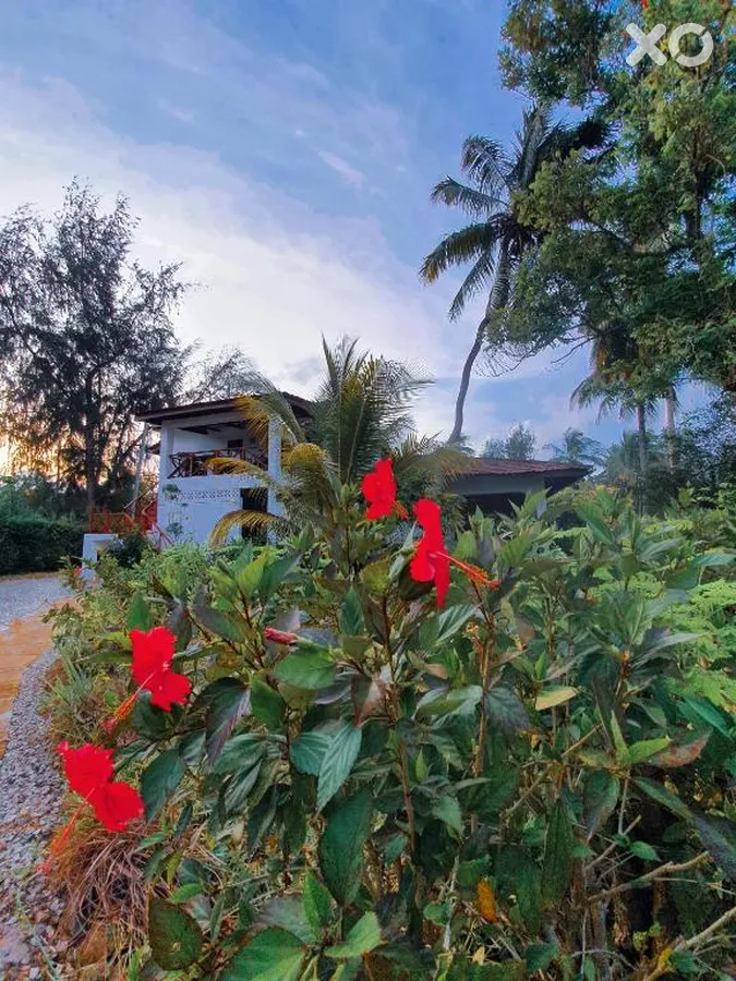 Flame Tree Cottages