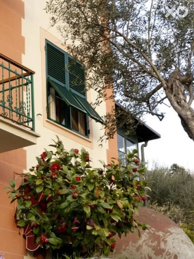 Villa Belvedere