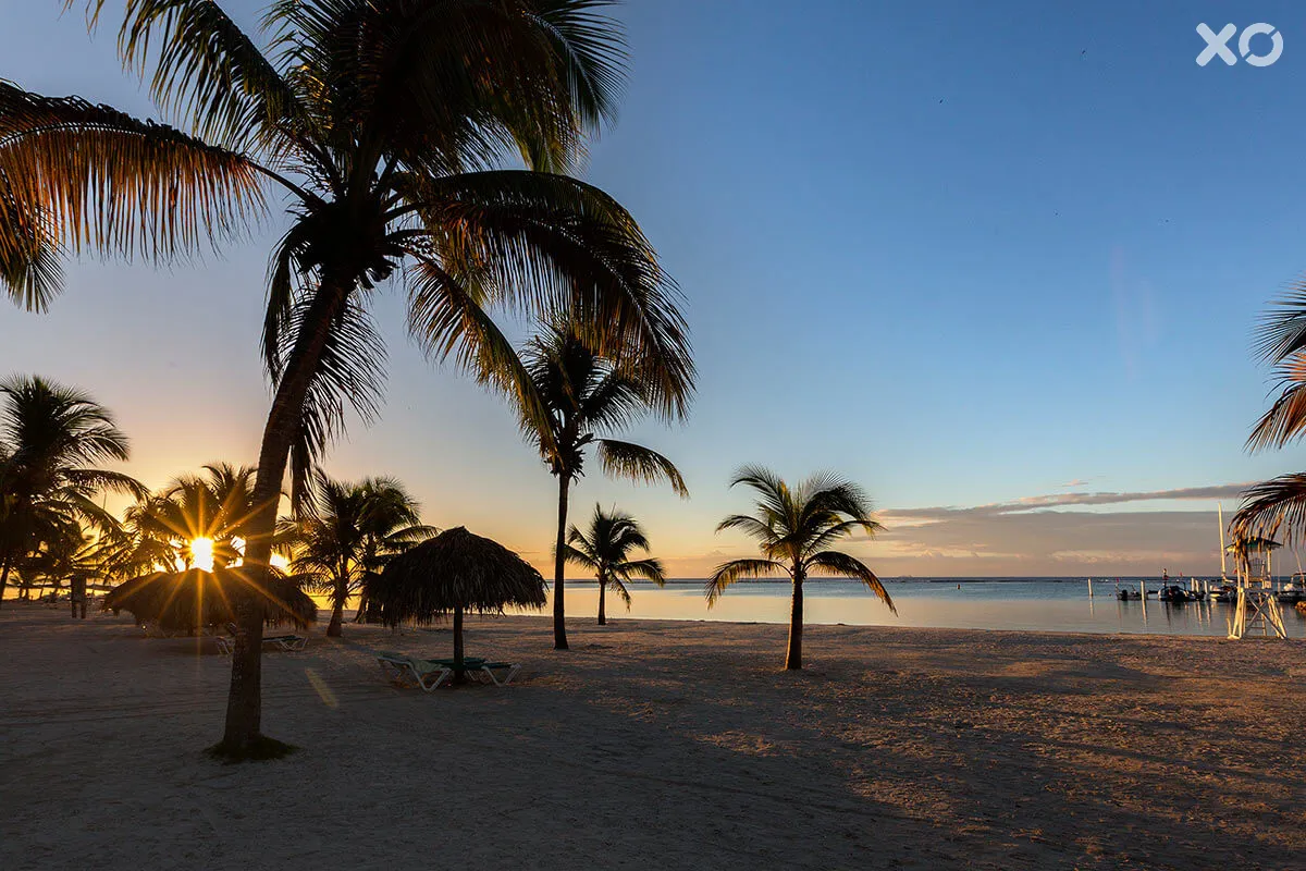Whala!Boca Chica