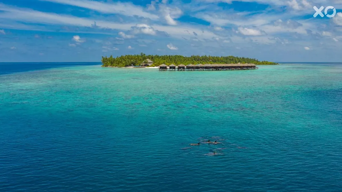 Filitheyo Island Resort