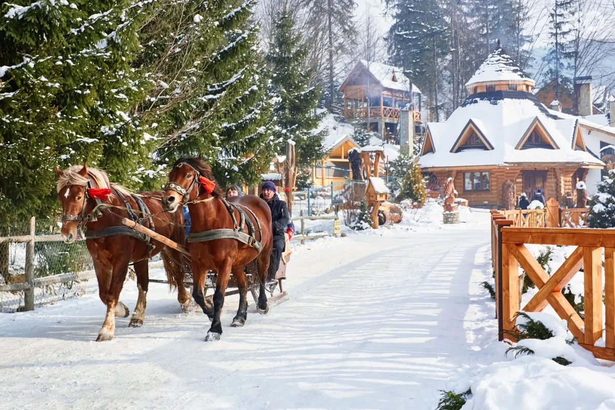 Ведмежа Гора