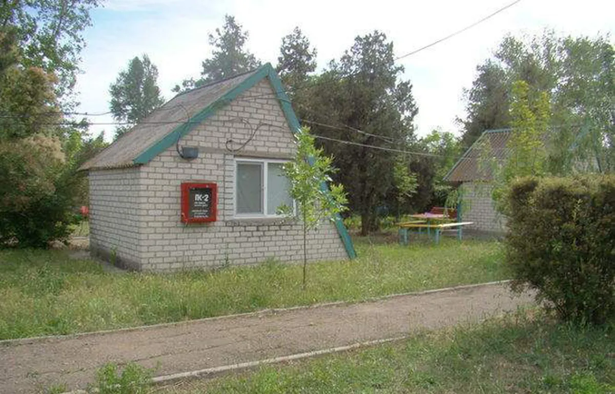 Білий лебідь