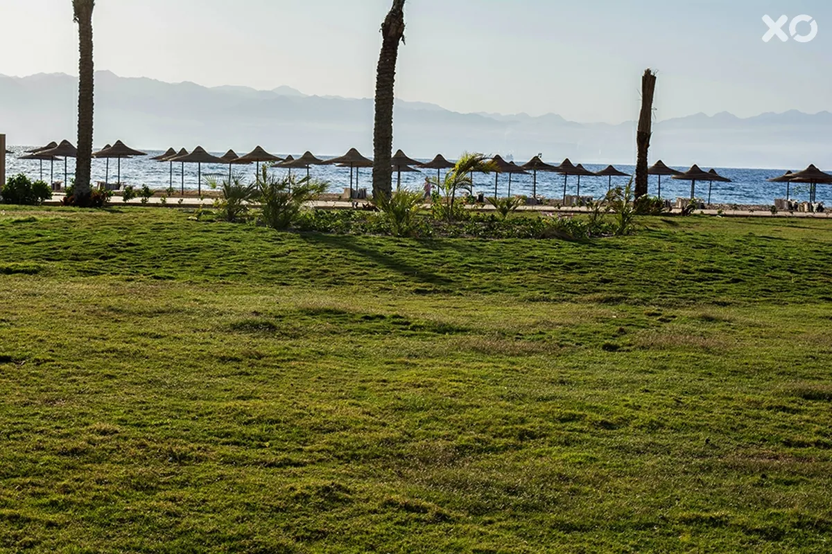 Tolip Resort & Spa Taba