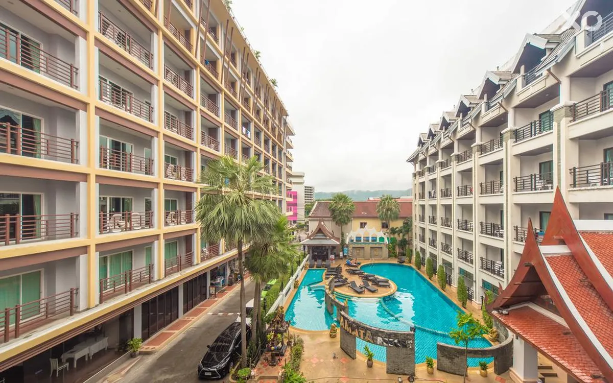 Amata Patong