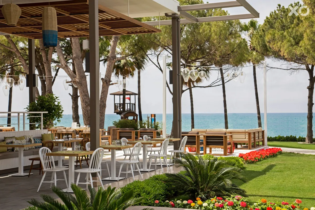 Acanthus Cennet Barut Collection