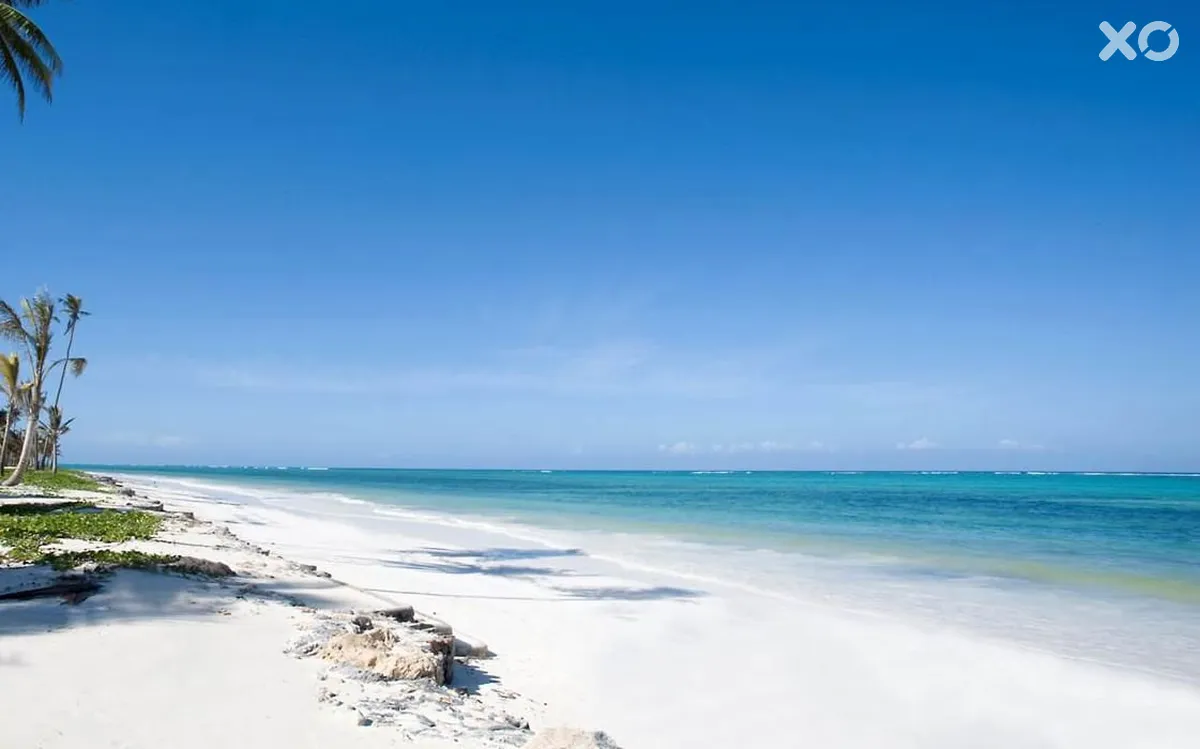 Sahari Zanzibar