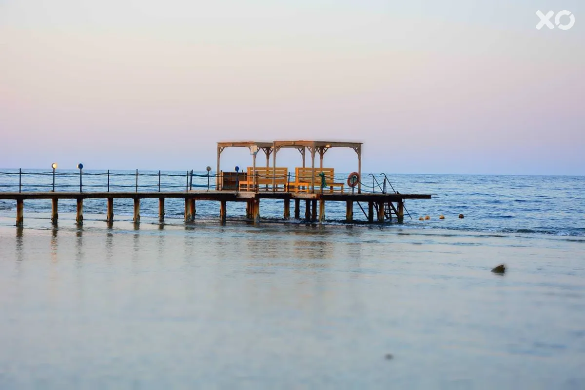 The Oasis Dive Resort