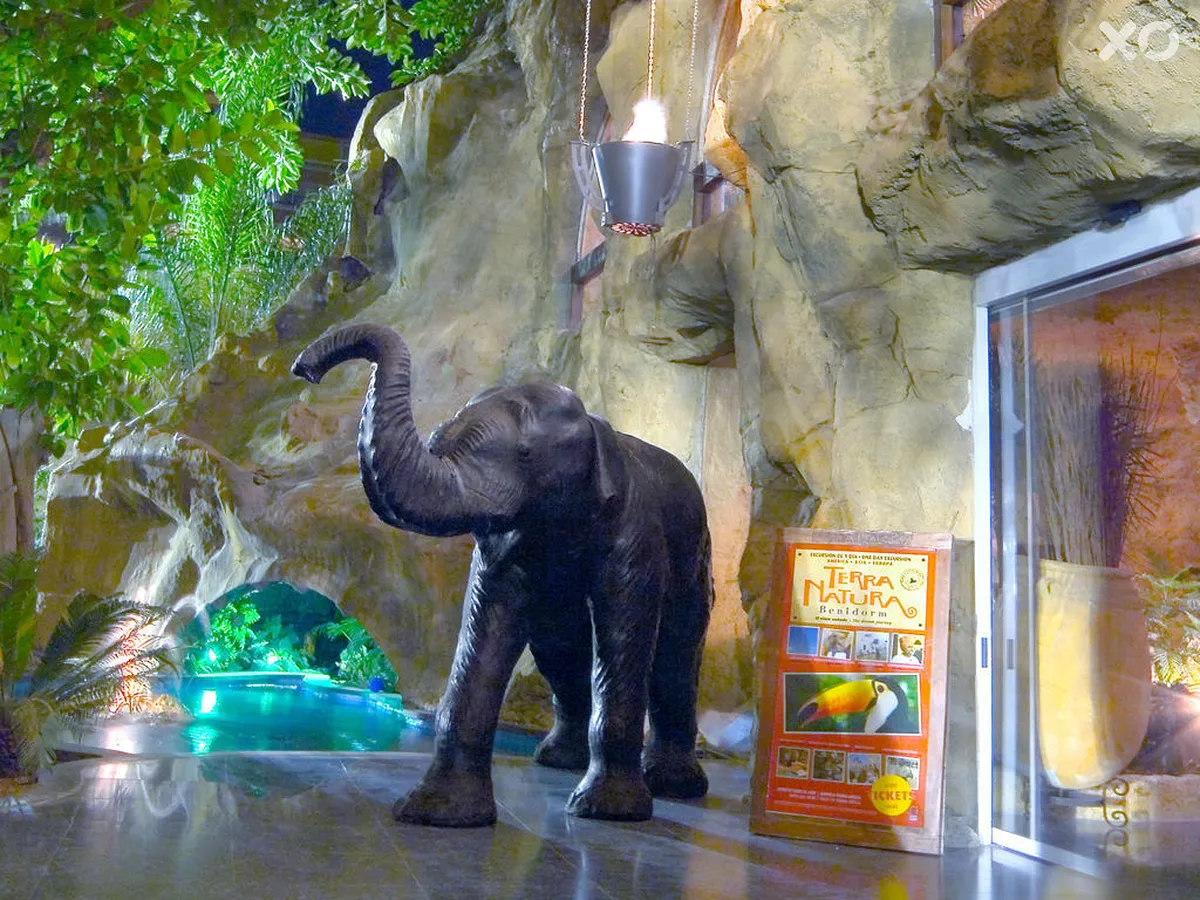 Magic Aqua Rock Gardens Hotel