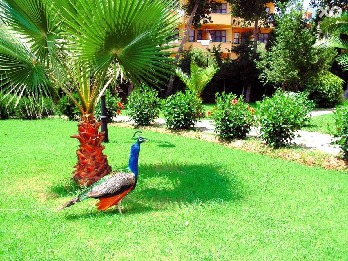 Green Peace Hotel