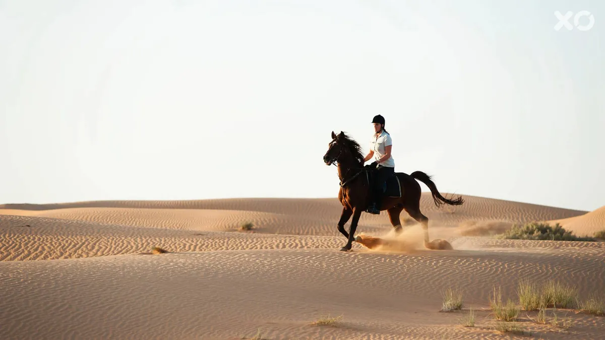 Al Maha A Luxury Collection Desert Resort & Spa