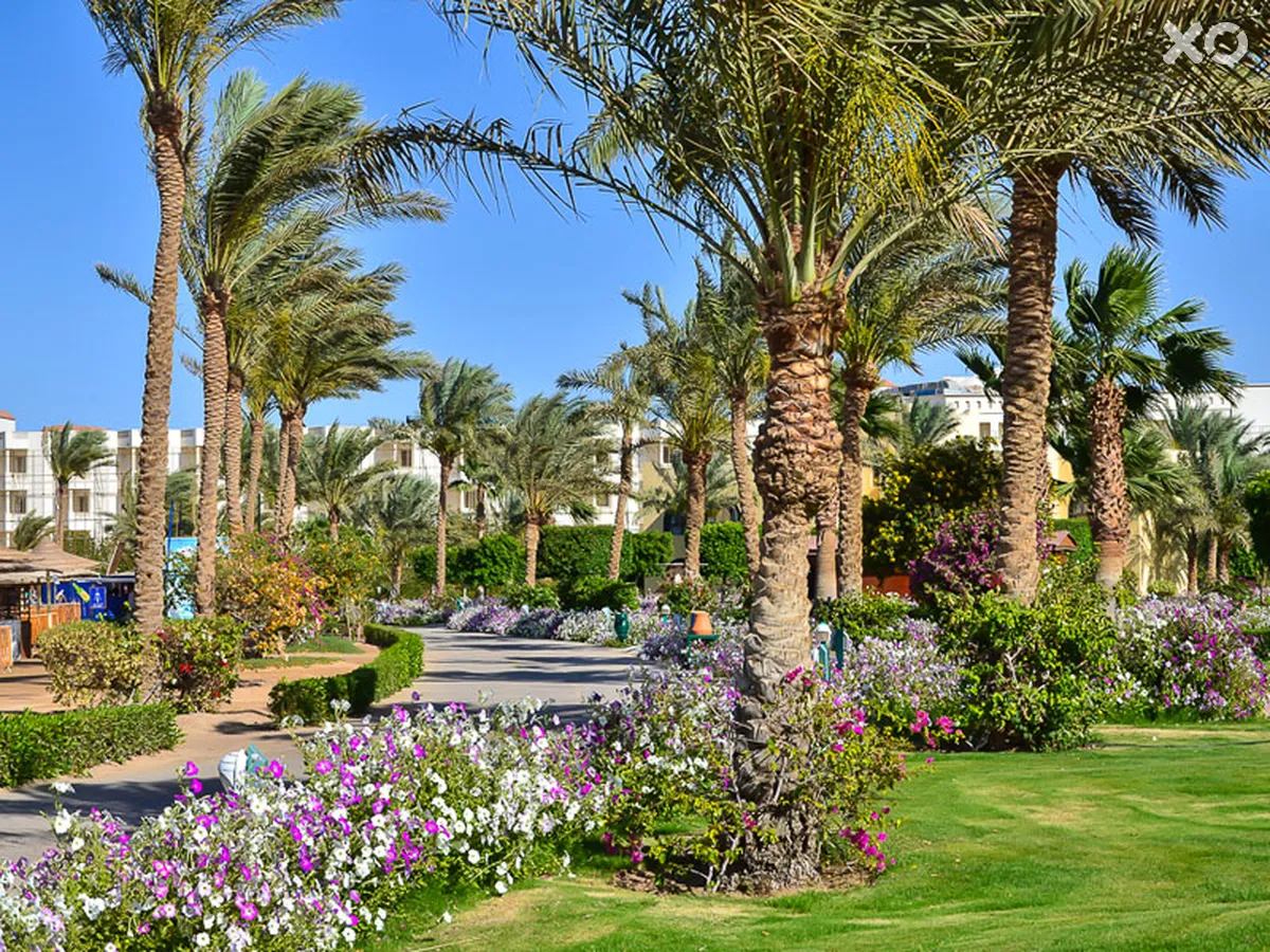 Desert Rose Resort