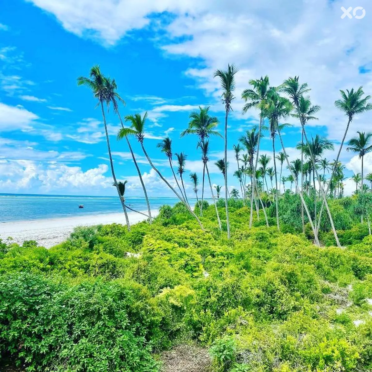 Mambo Beach Villas