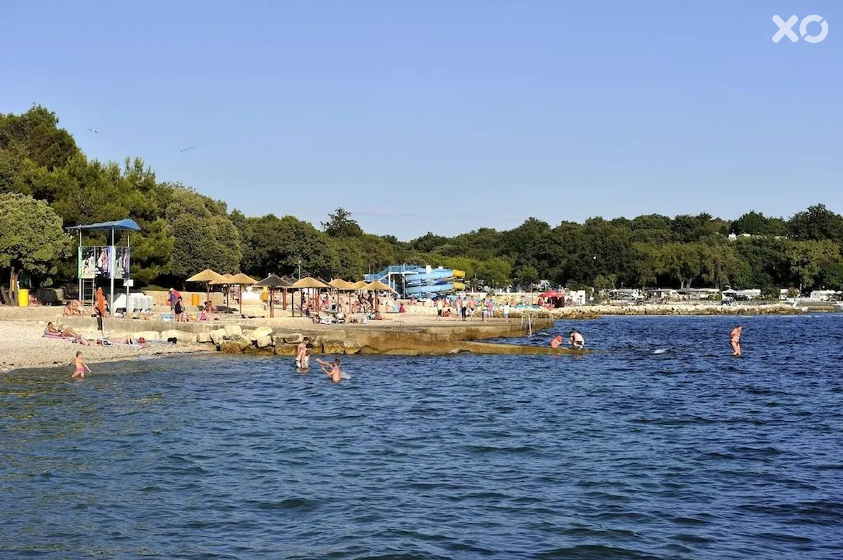 Delfin Plava Laguna