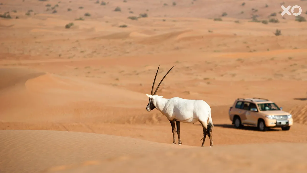 Al Maha A Luxury Collection Desert Resort & Spa