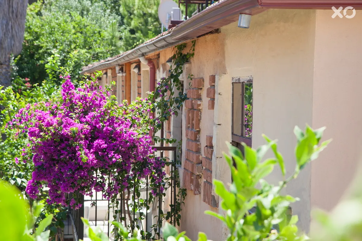 Leda Beach Hotel