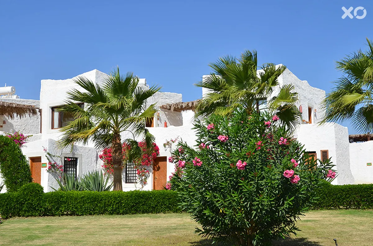 Sharm Club Beach Resort