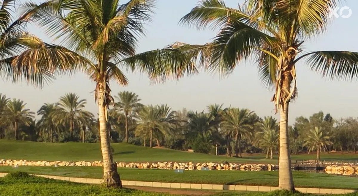 JA Palm Tree Court