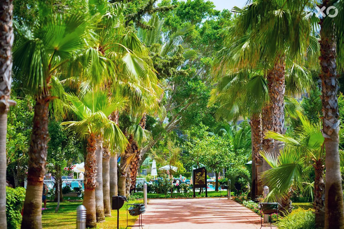 Euphoria Barbaross Beach Resort