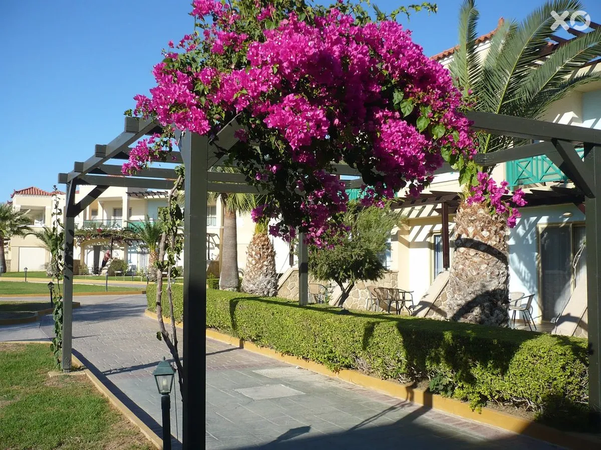 Lindos Princess Beach Hotel
