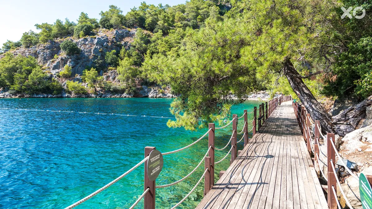 Hillside Beach Club