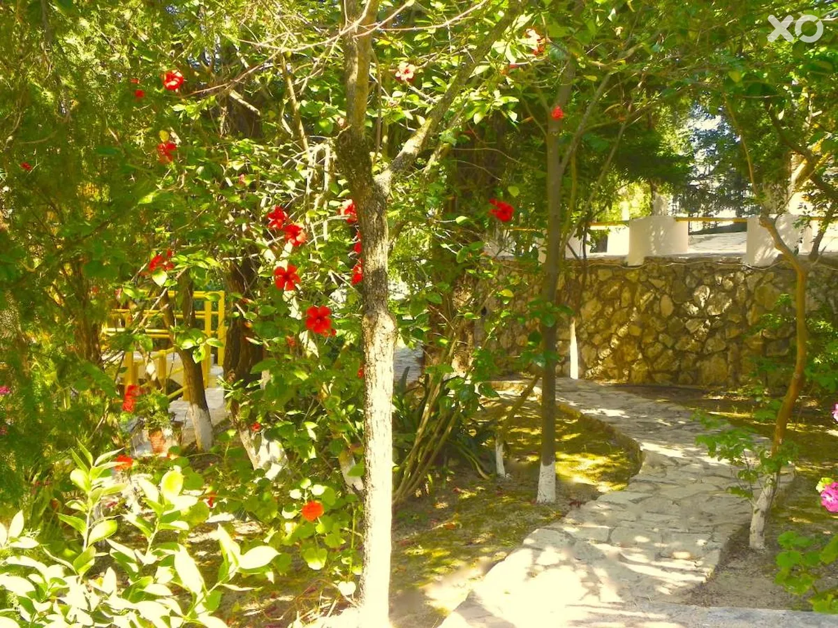Mirabelle Hotel