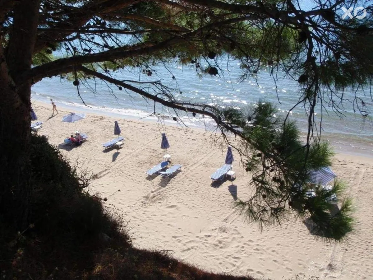 Golden Sand Hotel