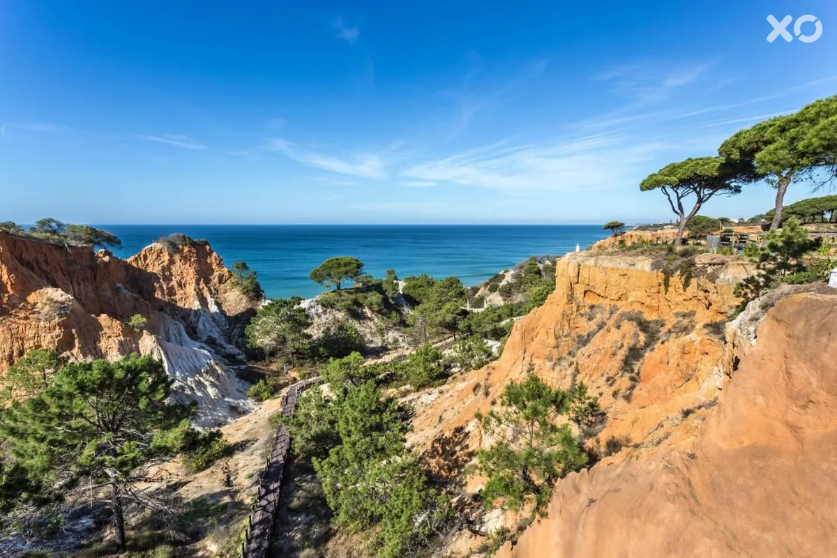 Pine Cliffs Gardens