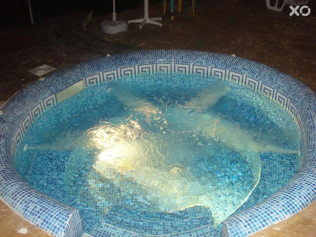 Фієста