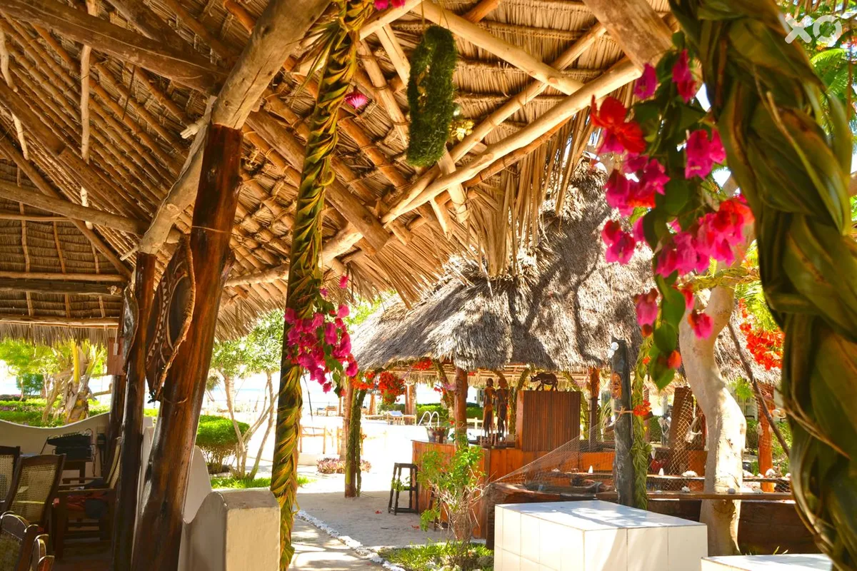 Nest Style Zanzibar